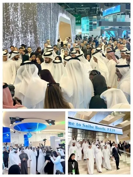 202503101624161 202503101624161